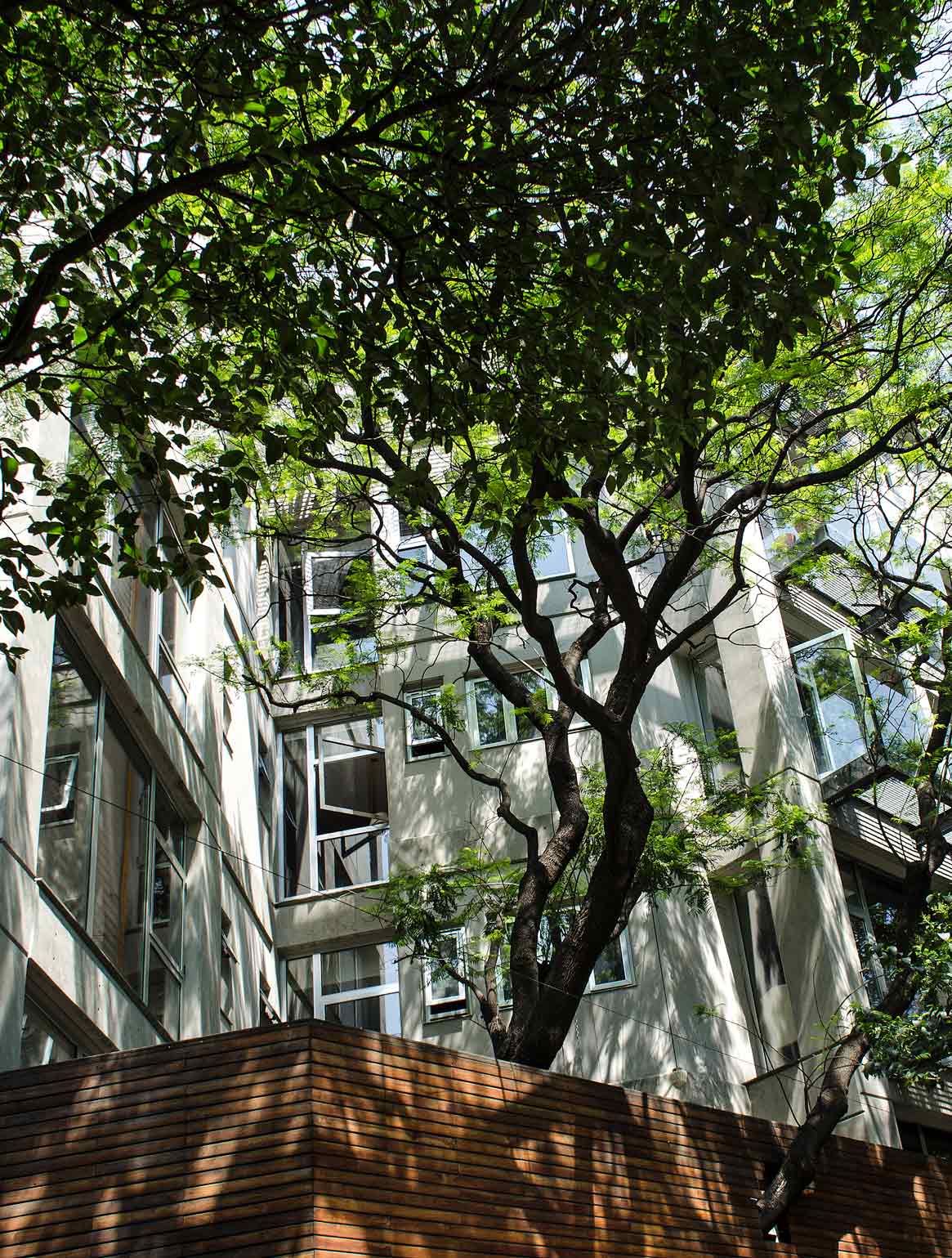 Edificio Veracruz, Condesa, CDMX